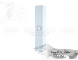 Пенал "Тойс" (ПН-01) 0,4м ЛДСП производитель: БТС